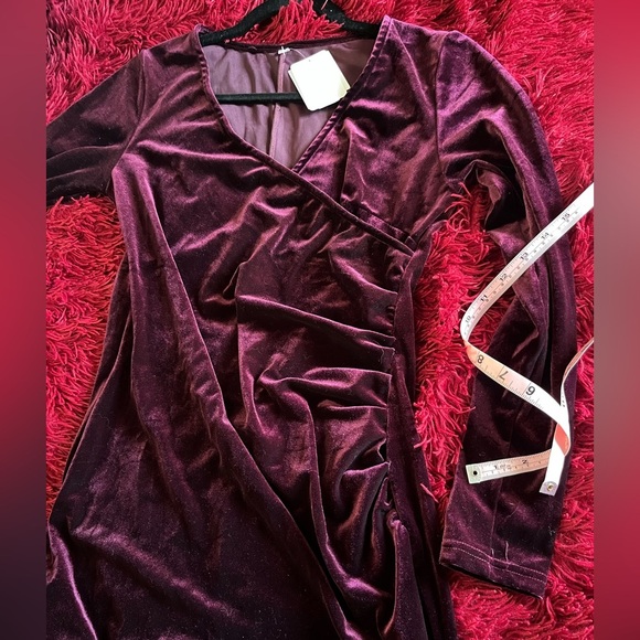 Velvet Burgundy Velvet Dress - Picture 5 of 6